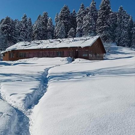 Roseland Cottage , Gulmarg Eksteriør billede