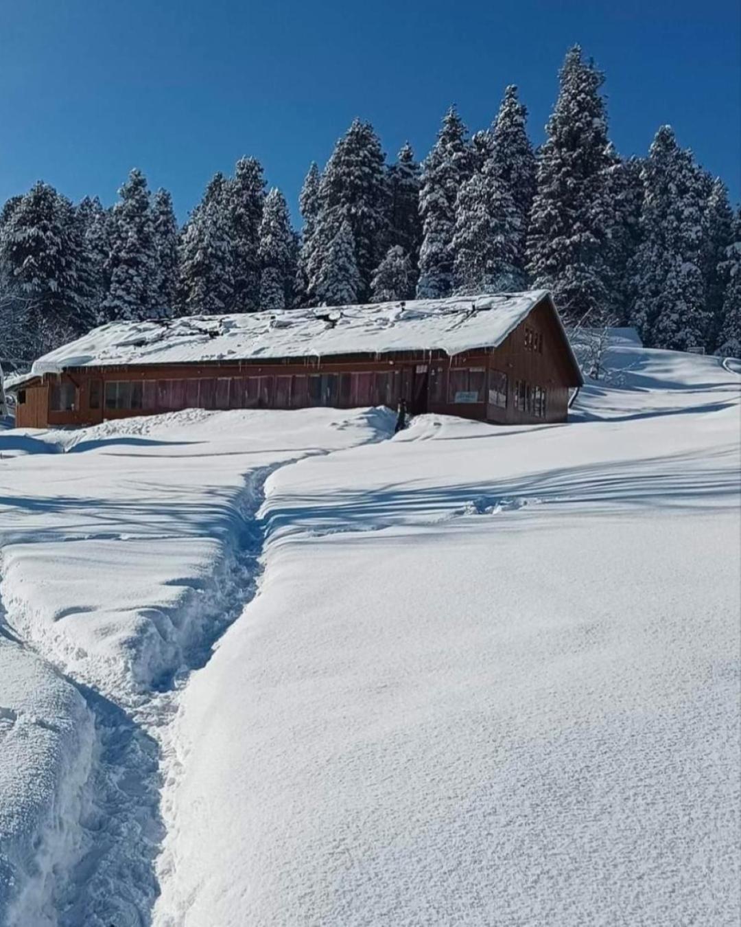 Roseland Cottage , Gulmarg Eksteriør billede